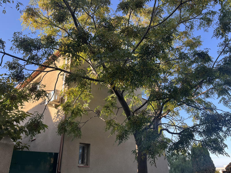 Villa - 77 m² - 4 pièces