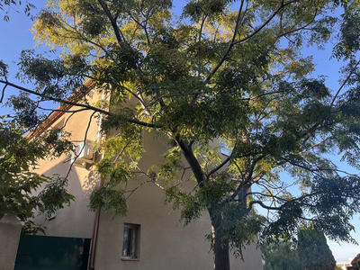 Villa - 77 m² - 4 pièces