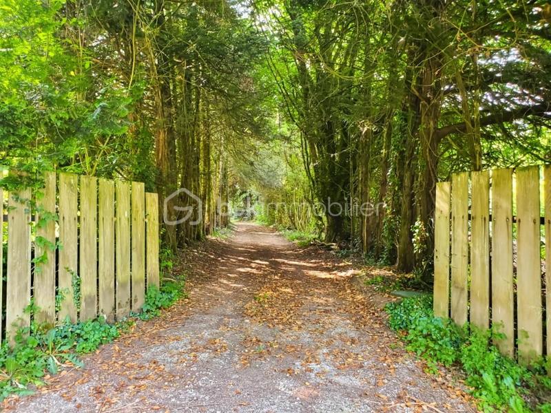 Maison en pierre - 200 m² - 9 pièces