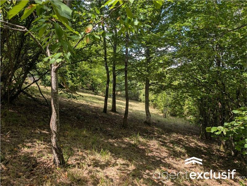 Maison - 61 m² - 2 pièces