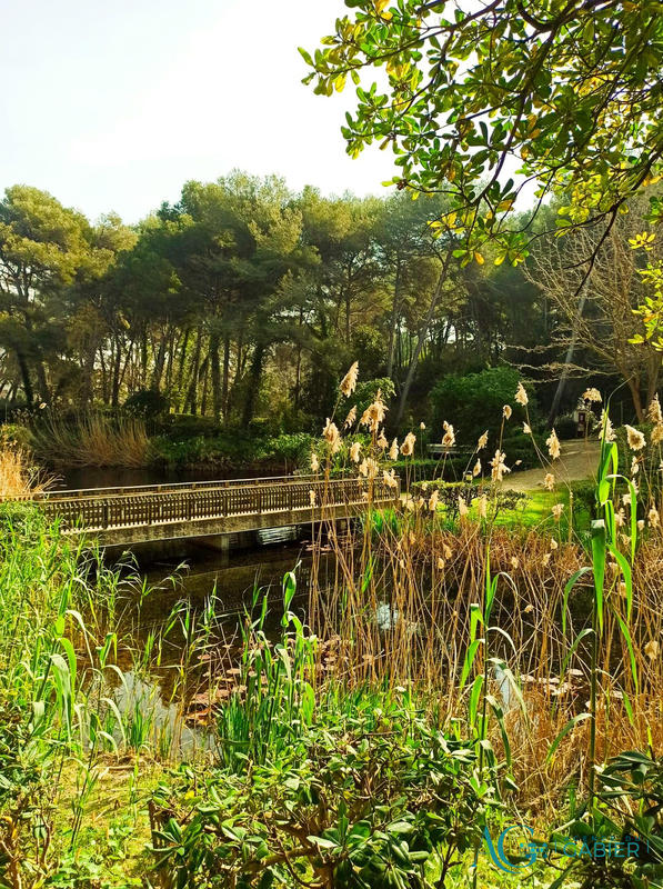 Appartement - 36 m² - 3 pièces