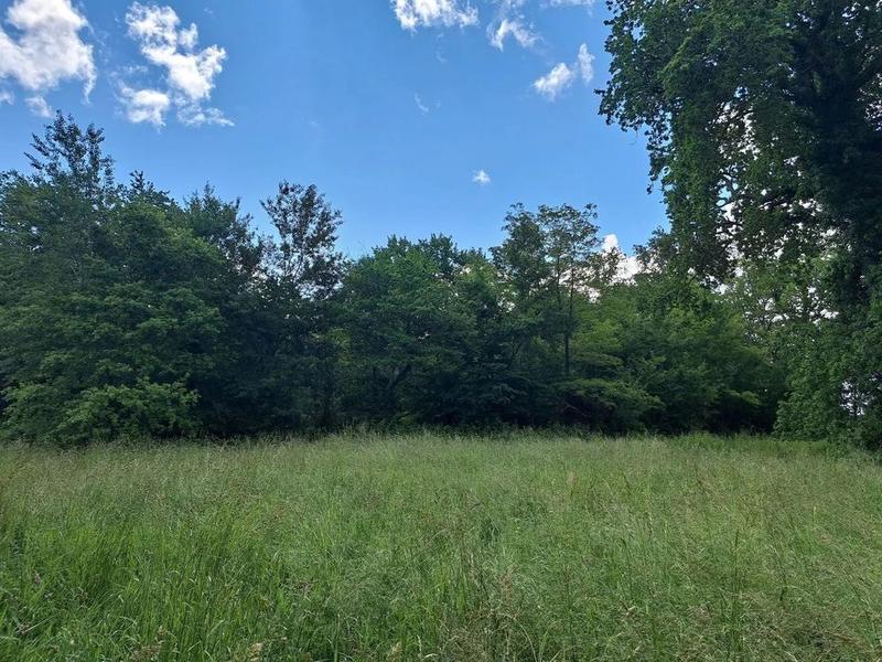 Maison - 250 m² - 4 pièces