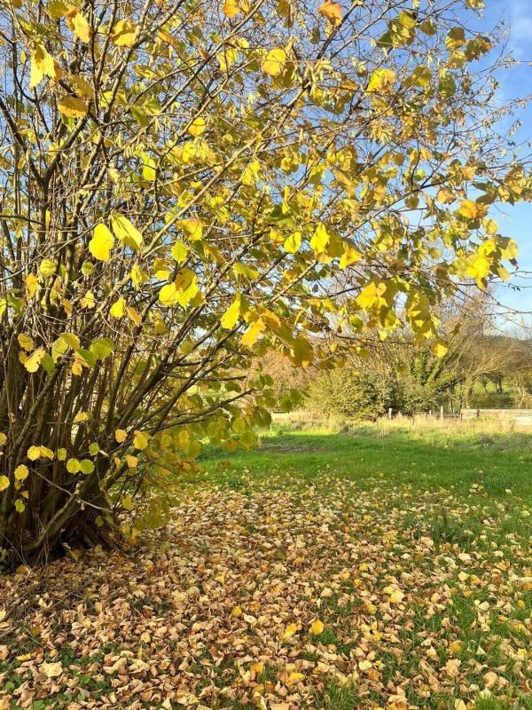 Ferme - 114 m² - 4 pièces