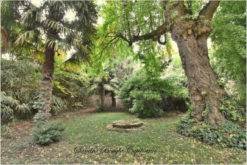 Maison de ville - 317 m² - 12 pièces