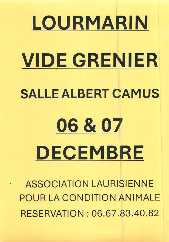 vide grenier