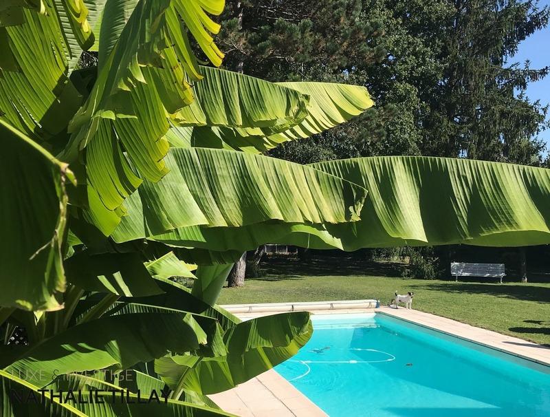 Maison - 222 m² - 9 pièces