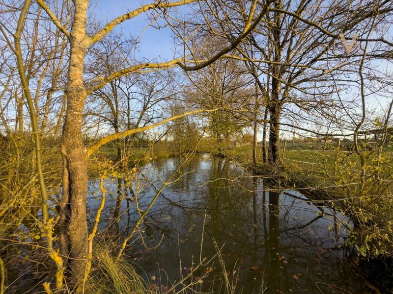 Haras - 118 m² - 6 pièces