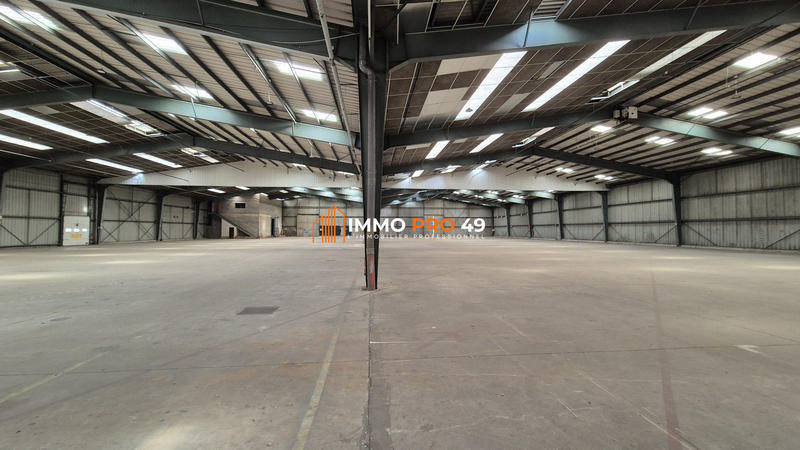 Entrepôt - 9 500 m²