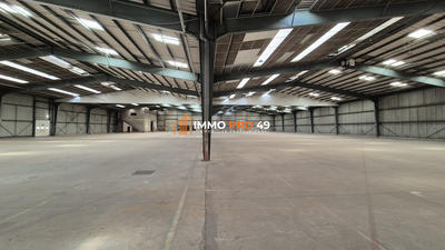 Entrepôt - 9 500 m²
