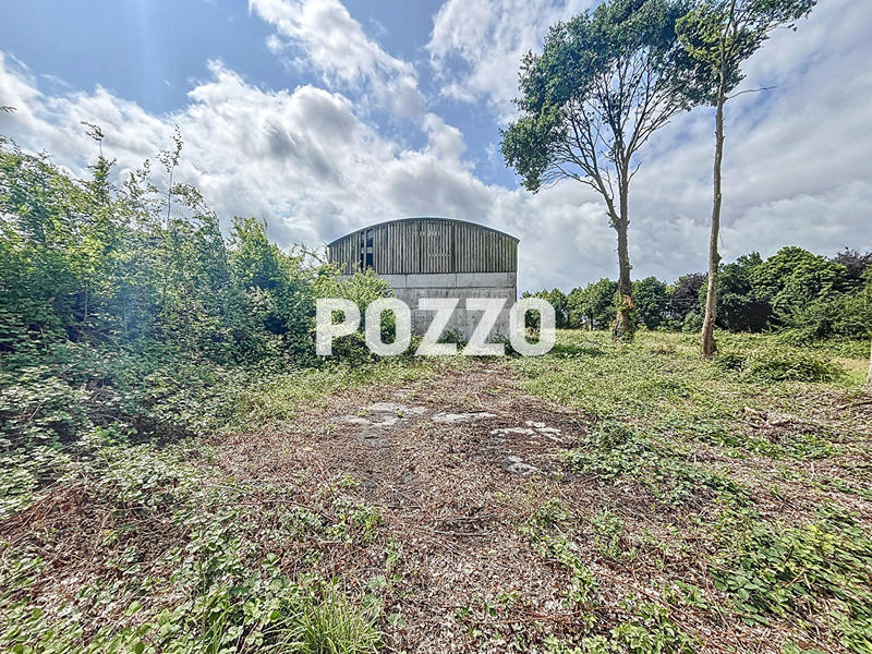 Local d'activité / Entrepôt - 380 m²