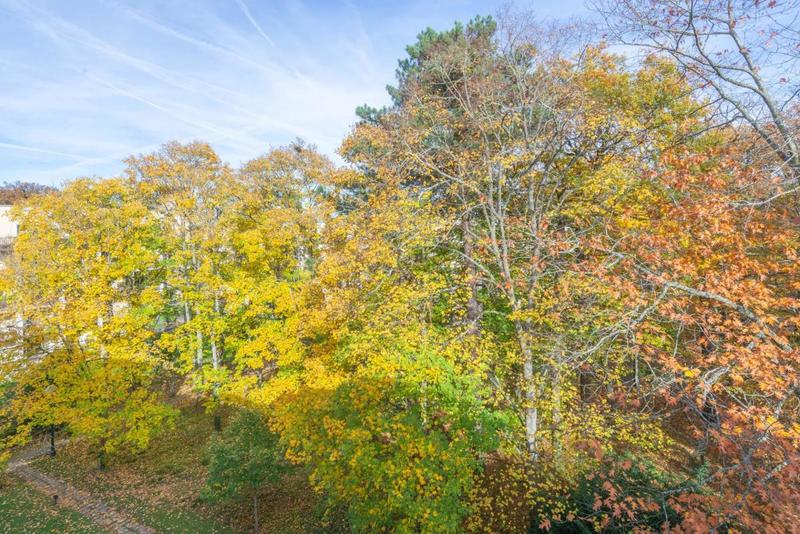 Appartement - 55 m² - 2 pièces