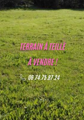Terrain constructible - 313 m²