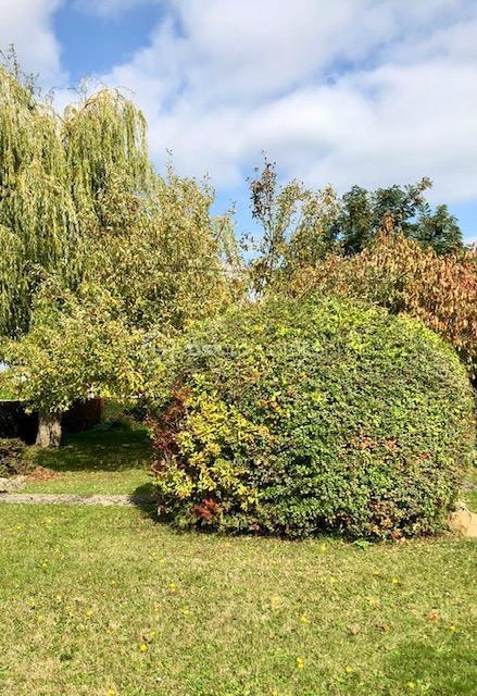 Maison de ville - 125 m² - 6 pièces