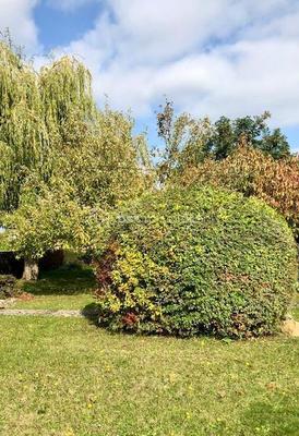 Maison de ville - 125 m² - 6 pièces