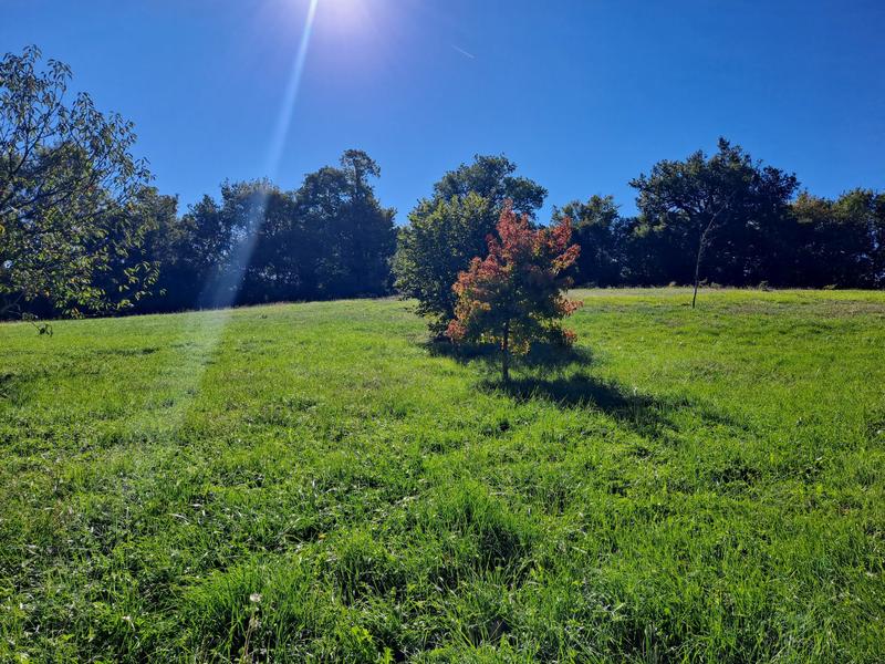 Maison - 175 m² - 6 pièces