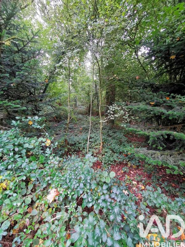 Terrain agricole - 15 000 m²