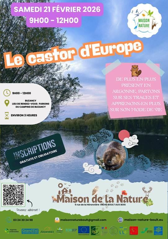 Sortie nature : le Castor d'Europe