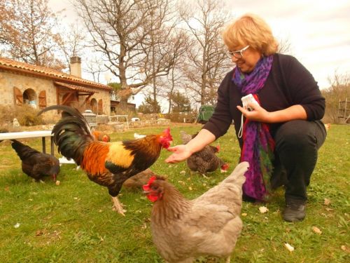 La Petite Ferme des 3.6.9