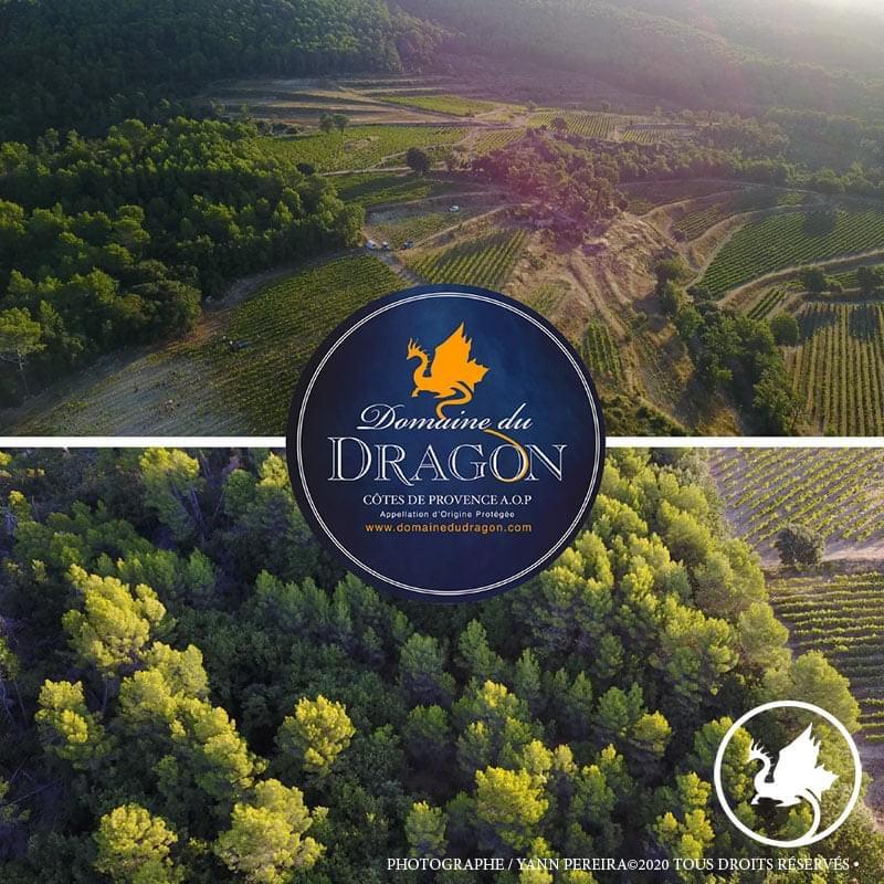 Domaine du Dragon