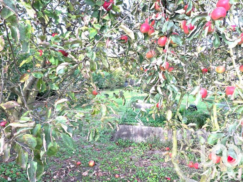 Maison - 84 m² - 3 pièces