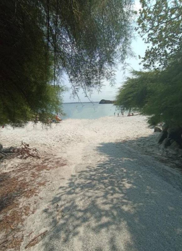 Terrain agricole - 152 m²