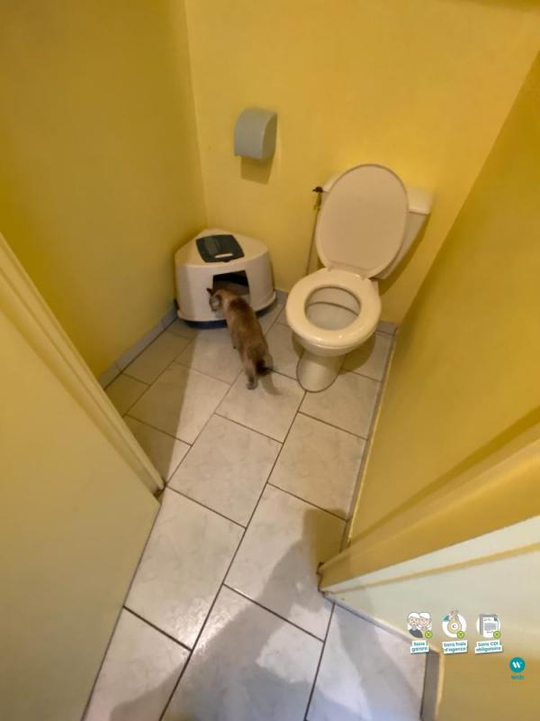 Appartement - 35 m² - 2 pièces