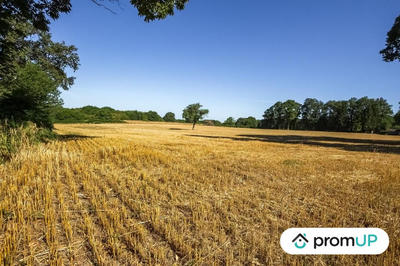 Terrain - 14 623 m²