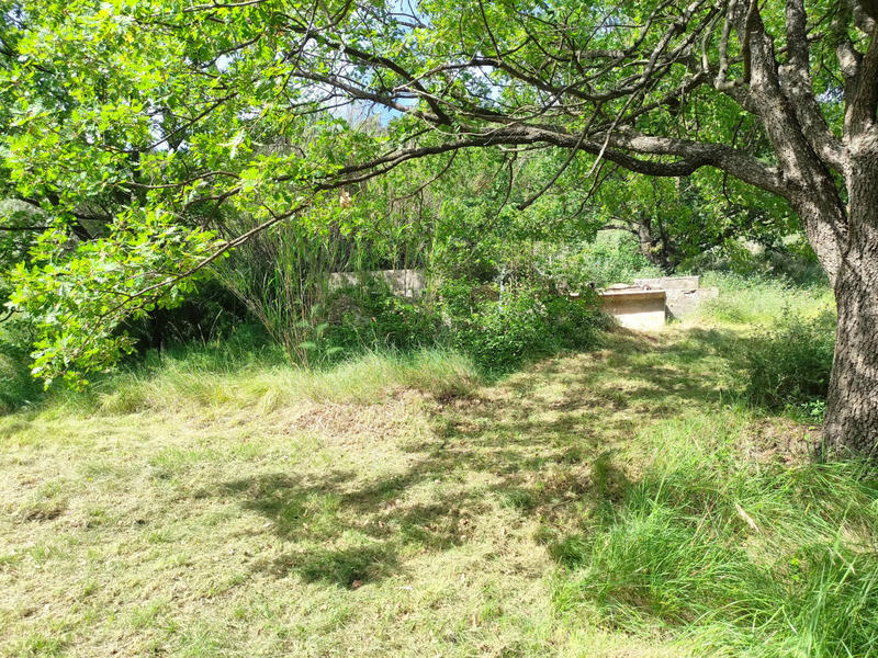 Ferme - 100 m² - 5 pièces