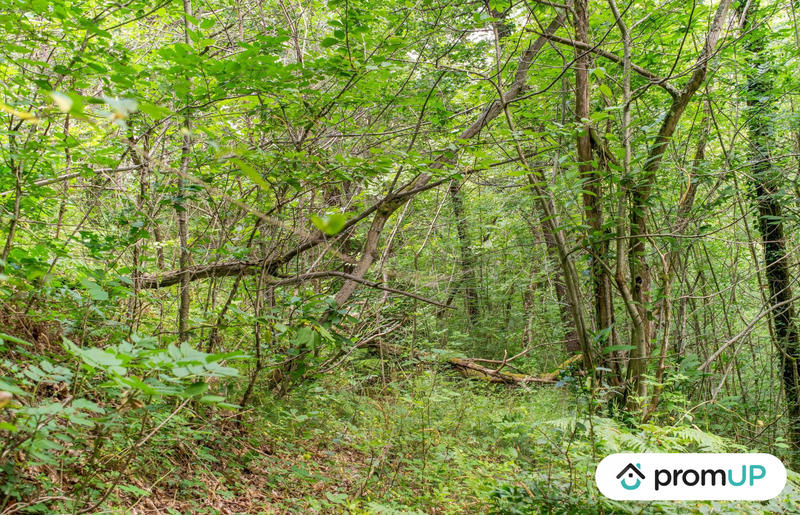 Terrain de loisirs - 5 300 m²