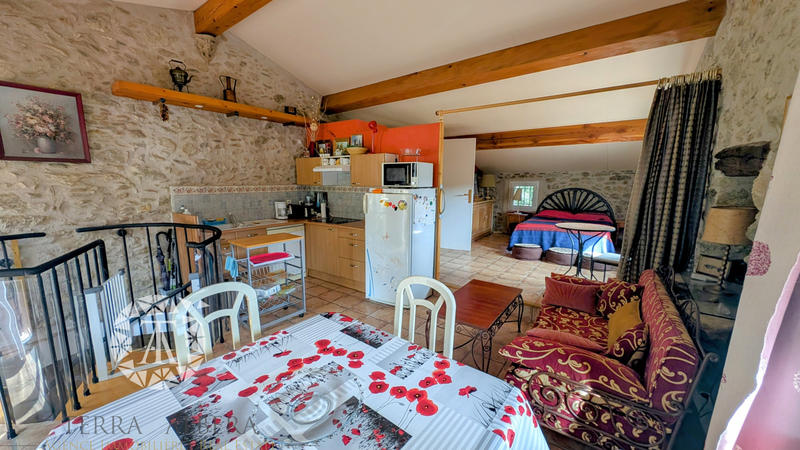 Mas - 239 m² - 6 pièces