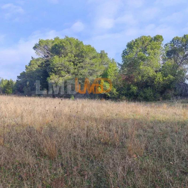 Terrain agricole - 20 348 m²