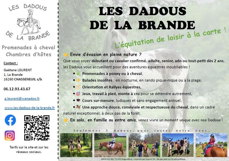 Vacances à poney / à cheval