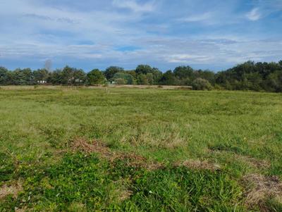 Terrain constructible - 1 526 m²
