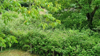 Maison - 74 m² - 4 pièces