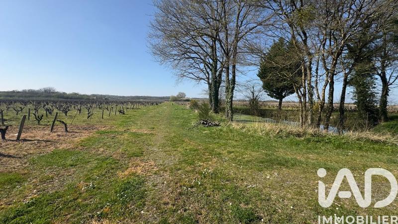 Ferme - 679 m² - 7 pièces