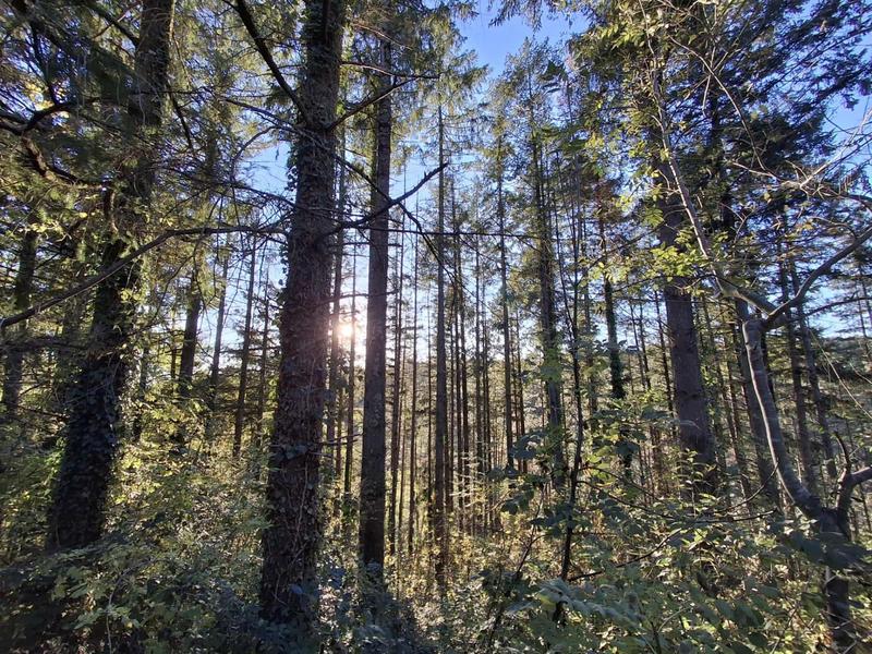 Maison - 173 m² - 8 pièces