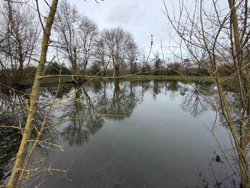 Maison - 230 m² - 7 pièces