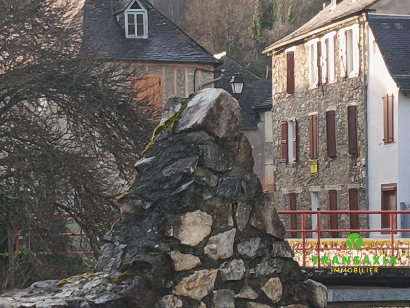 Maison traditionnelle - 306 m² - 16 pièces