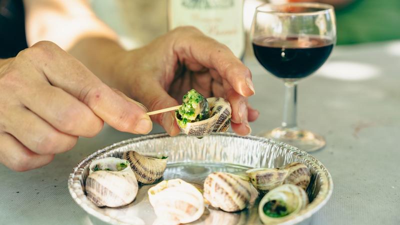 De ferme en ferme : Ferme aux escargots "Routis"