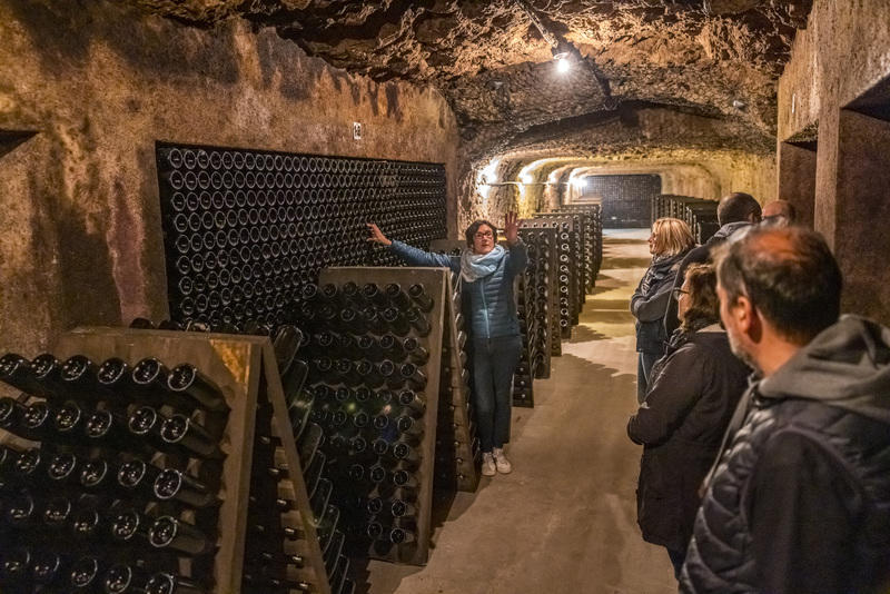 De la vigne au verre de vin