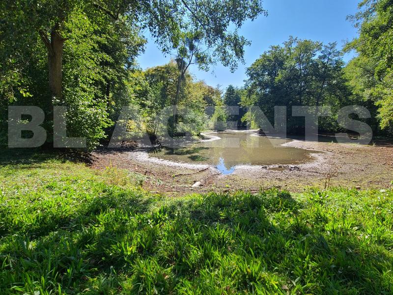 Château - 4 746 m² - 40 pièces