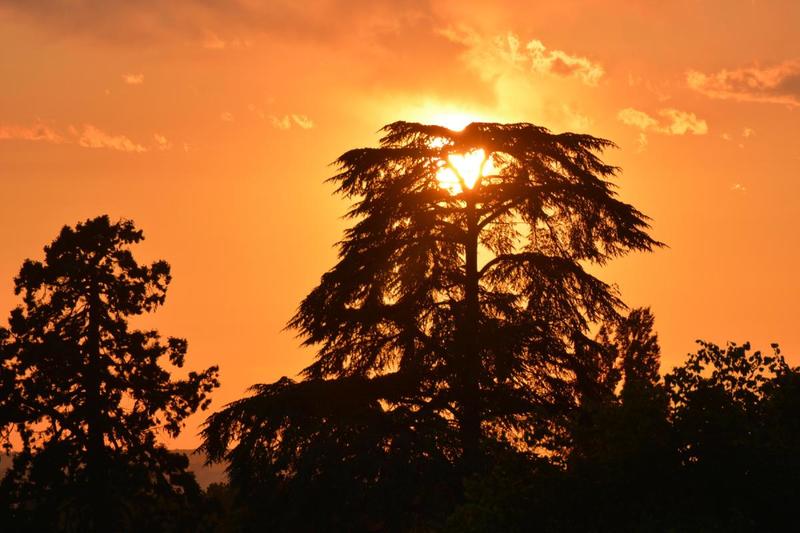 Appartement - 120 m² - 5 pièces