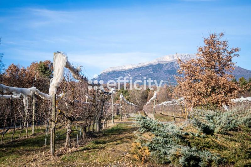 Ferme - 230 m² - 9 pièces