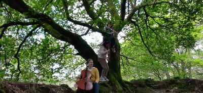 Gamineries 2026 - Trees for threes