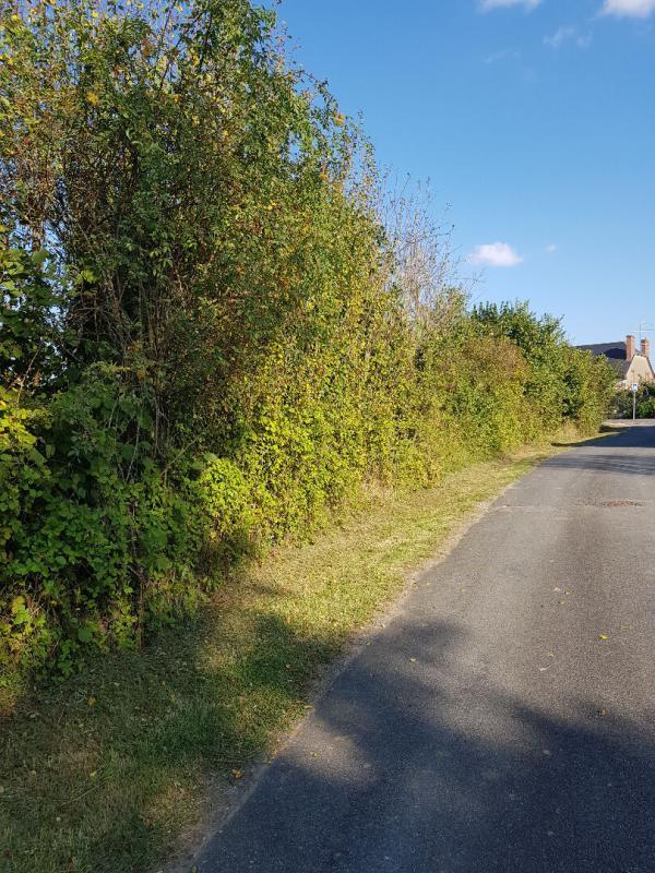 Terrain constructible - 1 313 m²