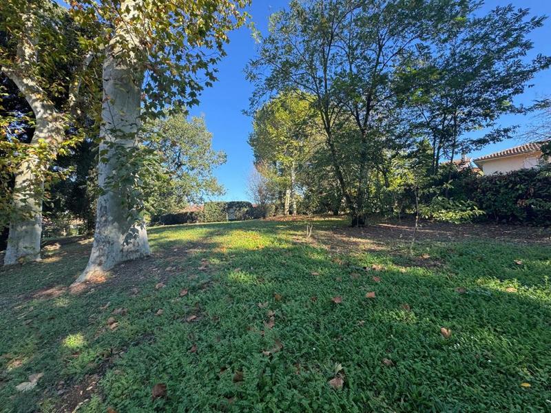 Duplex - 61 m² - 3 pièces