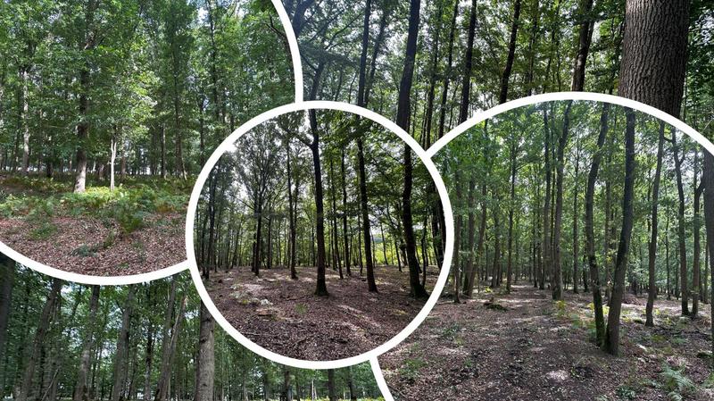 Terrain de loisirs - 850 000 m²