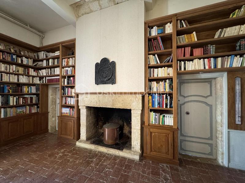 Château - 575 m² - 13 pièces