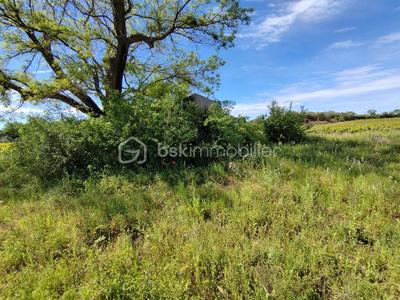 Terrain - 11 536 m²