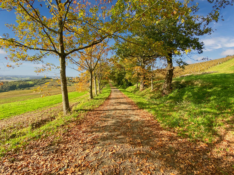 Maison - 327 m² - 6 pièces